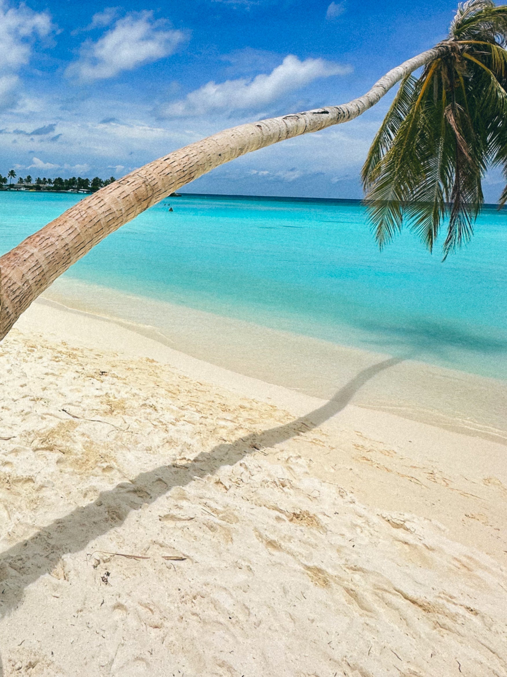 The Island Daydreamer’s Guide to a Carefree Summer Escape